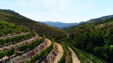 Tepenin üzerinden uç, bağların üzerinden uç.