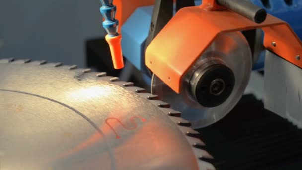 Machines Sharpening Circular Saws — Stock Video