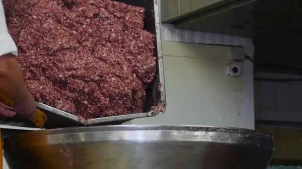 Doğrama Makinesi Baharatları Bir Yemek Fabrikasında Sosis Sosis Yapmak Için — Stok video