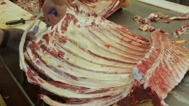 Carcaça Carne Porco Carcaça Pendurada Uma Fábrica Carne Produzindo Salsichas — Vídeo de Stock