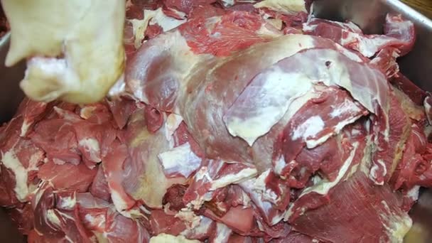 Carne Cerdo Carne Res Carcasa Colgando Una Fábrica Carne Que — Vídeo de stock