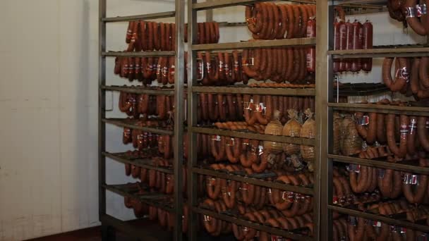 现成的香肠挂在商店的冷冻柜里 等待着工厂的销售 — 图库视频影像
