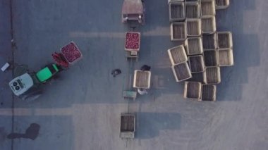 Depo İşçileri Elmalar için Boş Sandık Hazırlıyor