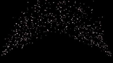 Kiraz Çiçeği Parçacığının Videosu 