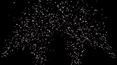 Kiraz Çiçeği Parçacığının Videosu 