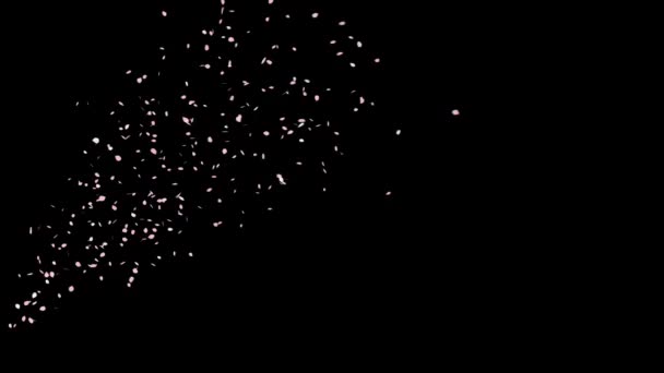 樱桃花粒子的影像 — 图库视频影像