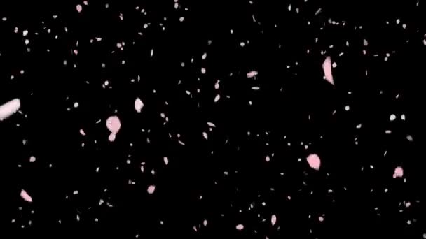 Vidéo de particule de fleur de cerisier  