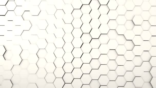 Vidéo Clean Hexagons Arrière Plan — Video