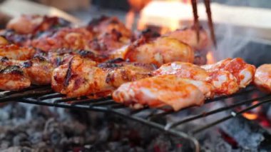 Barbekü Tavuk Kanatları ve Bacakları