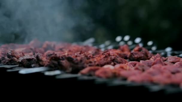 Een Smakelijk Vlees Koken Een Vuur — Stockvideo