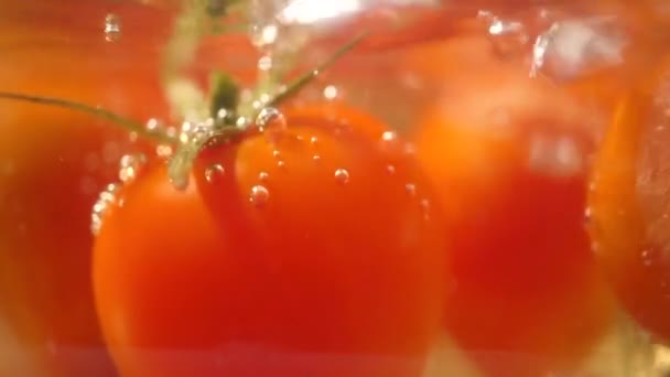 Tomates Vermelhos Fervendo Tiro — Vídeo de Stock