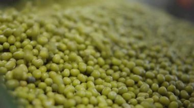  Markette bir grup yeşil mercimek. Süpermarkette Yenilebilir Legume Fasulyeleri 'nin yakın çekimi. Pişmemiş