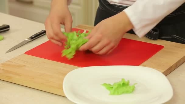 Chef Scheurt Groen Blad Sla — Stockvideo