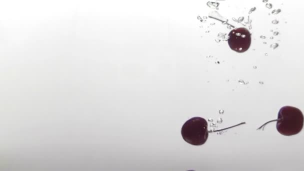 水に落ちる桜 — ストック動画