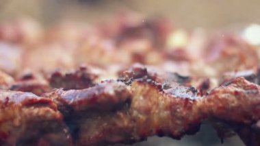  Şiş Kebap Şiş Şiş Pişiriyorum