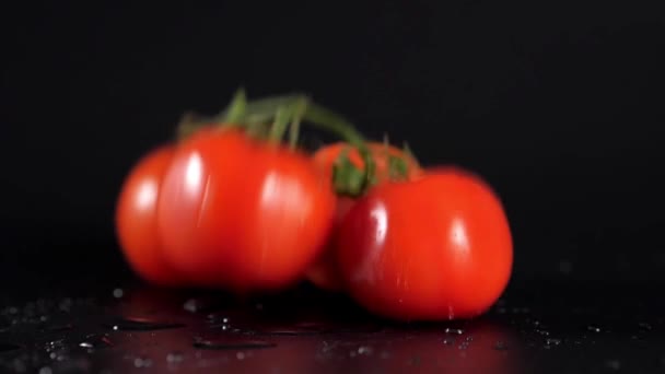 Drop Dropped Perfekte Frische Rote Nasse Tomaten Mit Tomate Auf — Stockvideo