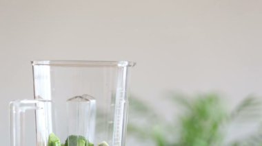 El Yiyeceği Blender 'a Koyuyor