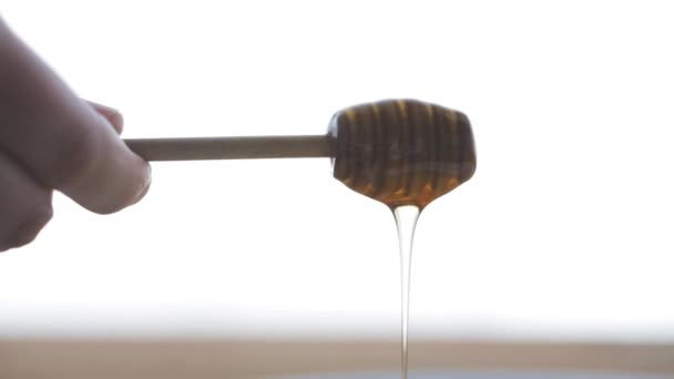 Hand Holding Dipper Pouring Honey — Stock Video