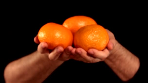 Hände Die Orangen Halten — Stockvideo