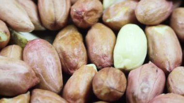 Kabuktaki Yerfıstığı Döndürür