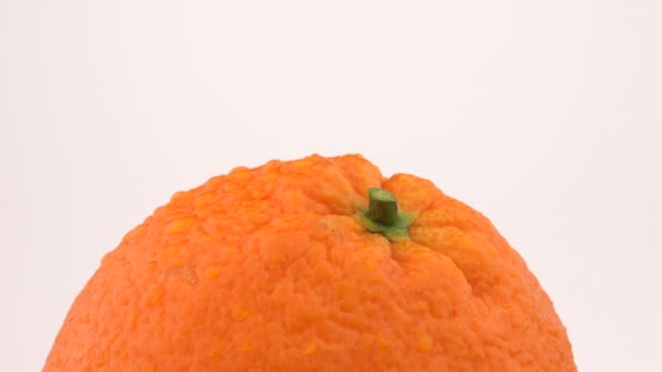 オレンジ色の果物はターンテーブルで回転します 白を基調としている ループ可能 部分的トップ表示 — ストック動画