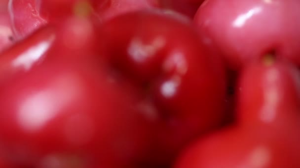 Rose Apple Jambu Fruit — 图库视频影像