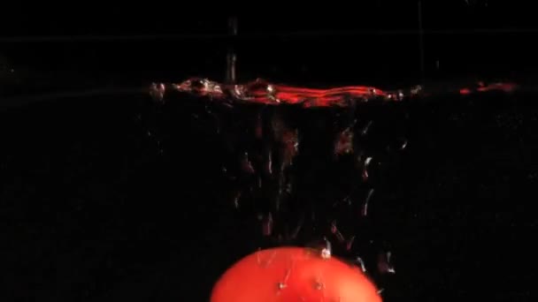 Tomaten Wasser Zeitlupe — Stockvideo