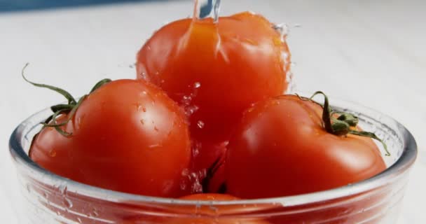 Tomaten Schüssel Waschen — Stockvideo