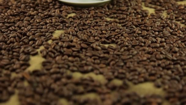 Stoom uit een kopje koffie — Stockvideo