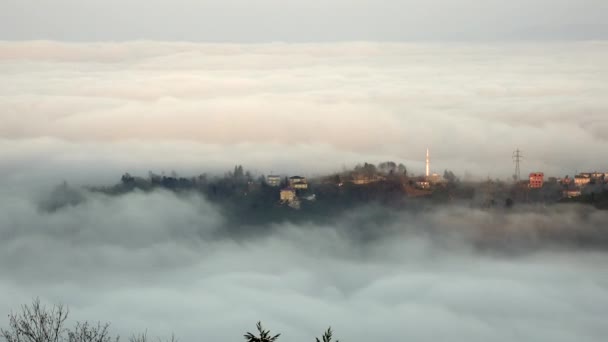 Hautes Maisons Dessus Des Porcs — Video