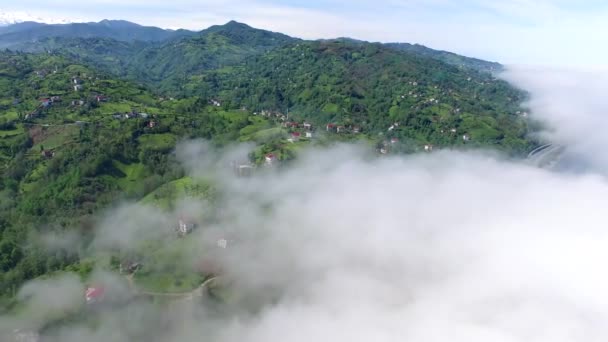 壮大な黒海の地理は 雲と森と絡み合って トルコのArtvin Rize Trabzon — ストック動画