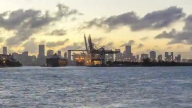  Miami Limanı ve Miami Urban Skyline Akşamları