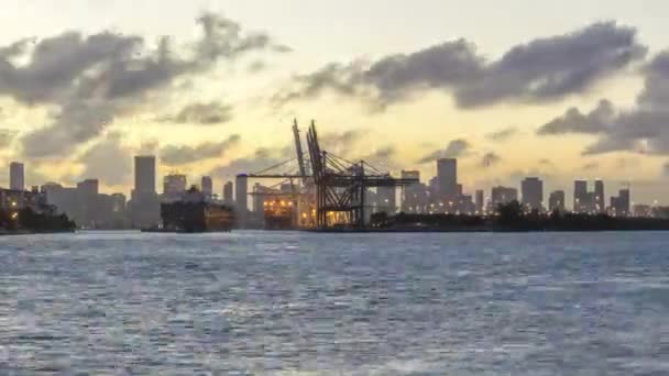 Miami Port Miami Urban Skyline Avond — Stockvideo