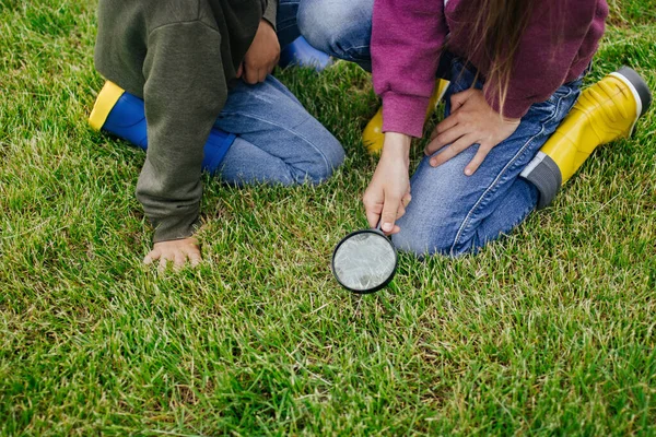 Çocuklar yeşil çimlere oturur ve büyüteçten bakarlar. Dijital detoks konsepti. Çevrimdışı konsept. Doğa kavramına yeniden bağlanmak. Teknoloji bağımsızlığı. Sağlıklı mola