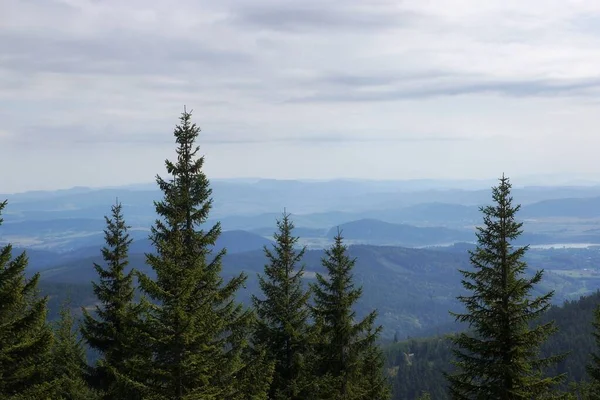 Autumn Forest Peaks Giant Mountains — Stock Photo, Image