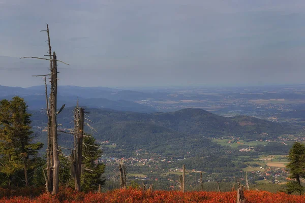 Dead trees destroyed by acid rain, view from the ridge of the Giant Mountains on the valley, autumn landscape