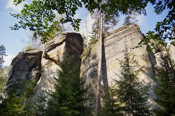 Adrspach Teplice Kayalıkları, Bohemya, Çek Cumhuriyeti 'ndeki bir dağ gölünde küçük kayalık bir ada, kumtaşı oluşumları.