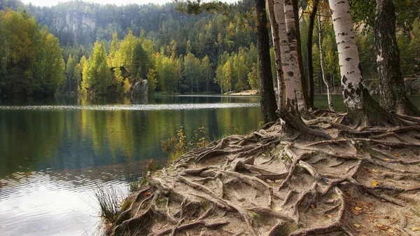 Adrspach Teplice Kayalıkları, Bohemya, Çek Cumhuriyeti 'ndeki bir dağ gölünde küçük kayalık bir ada, kumtaşı oluşumları.
