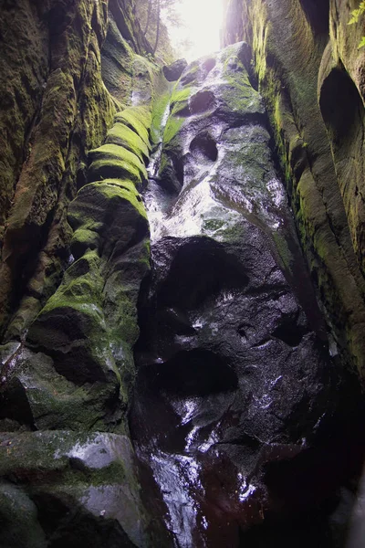 Islak siyah kayalar, Adrspach-Teplice Kayalıklarında eski bir şelale, Çek Cumhuriyeti 'nin kuzeydoğusunda kumtaşı oluşumları.