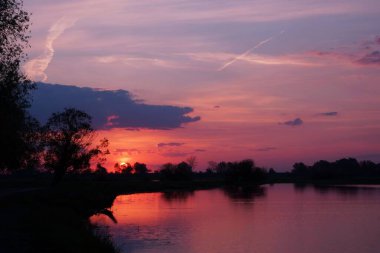 Suyun yanında çiçek sabahı, ilkbahar gün doğumu, gökyüzü, su ve ağaçlar
