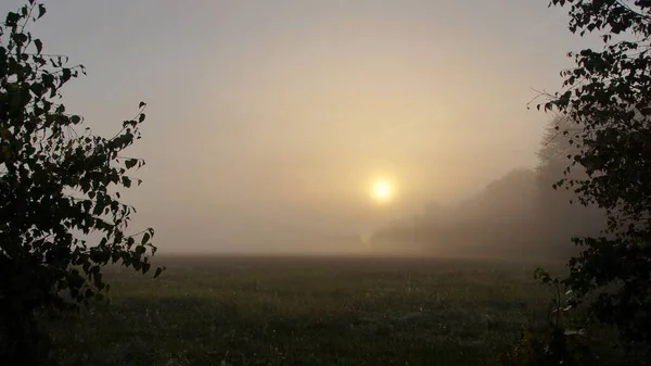 Septembre Lever Soleil Sur Prairie Matin Automne Soleil Brouillard Paysage — Photo