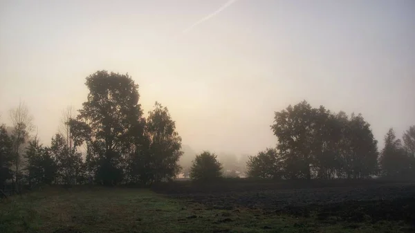 September Dawn Fields Heating Autumn Foggy Morning Landscape Copy Space — Stock Photo, Image