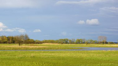 Nisan 'da Biebrza Vadisi' nde, ilkbahar manzarasında, yağmurlu günde