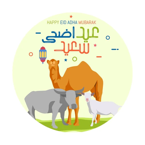 Eid Adha Com Vetor Caligrafia Bonito Celebração Férias Muçulmanas Sacrifício — Vetor de Stock