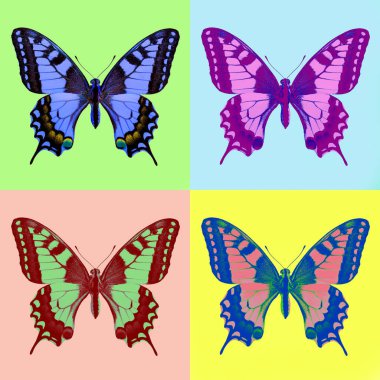 Kırlangıç (Papilio machaon) pop-art tarzında