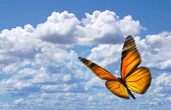 Motyl Monarcha Danaus Plexippus Lecący Bezchmurne Błękitne Niebo — Zdjęcie stockowe