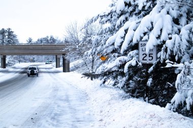 Aralık ayında Wisconsin 'in merkezinde yol ve orman kaygan karla kaplıydı.