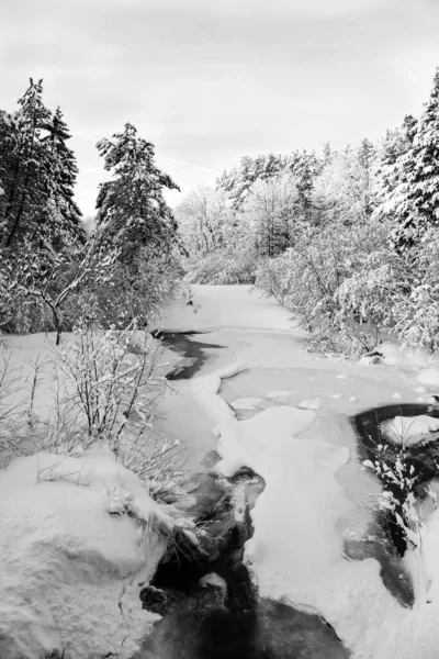 Pokryta Śniegiem Rzeka Lesie Wisconsin Styczniu Niebieskim Niebem Pionowe — Zdjęcie stockowe