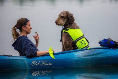 Pickeral, Wisconsin, ABD 12 Haziran 2018 Eski kasaba kanosundaki bir kız köpeği ve bir yusufçuk ile Crane Gölü 'nde.