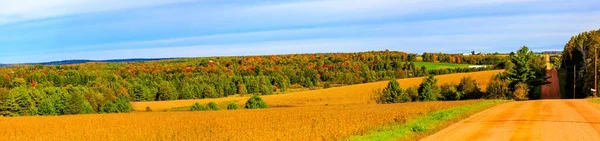 Wisconsin country road, farm fields and woodland in September